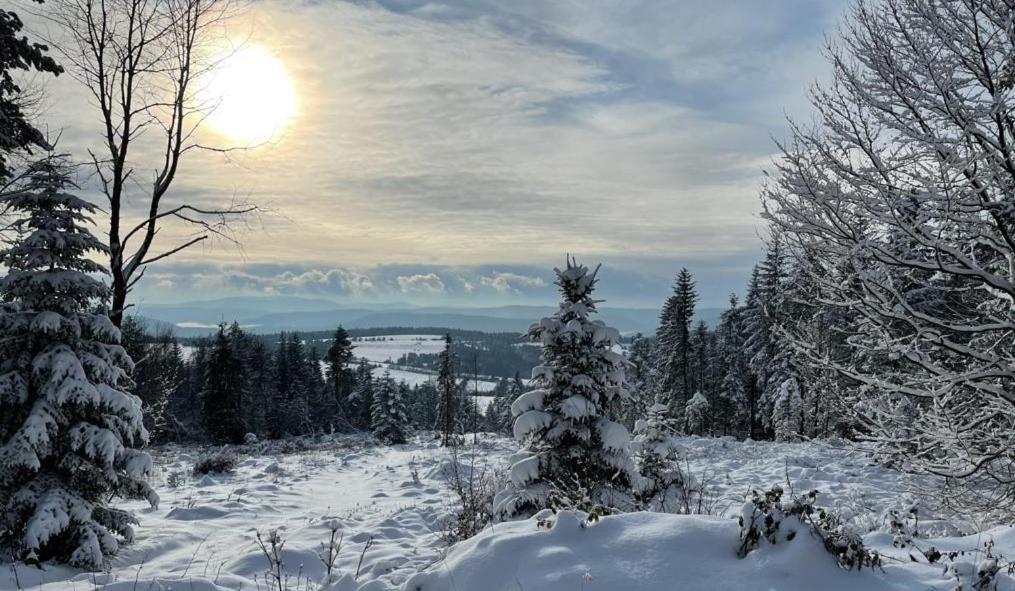 Domki Na Wzgorzu Nowica Bagian luar foto